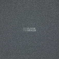 Ковролин AW Westminster 79 фото 1 | FLOORDEALER